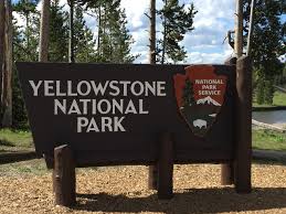 Yellowstone National Park / 2024